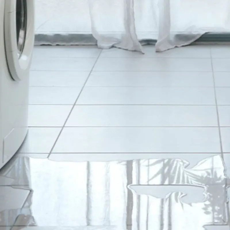 Appliance Leak Cleanup in Arcadia, IN