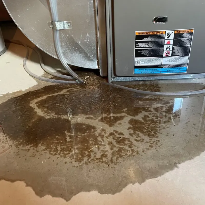 Pipe Burst and Leak Restoration in Arcadia, IN